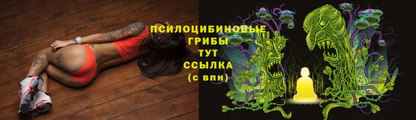 твердый Балахна