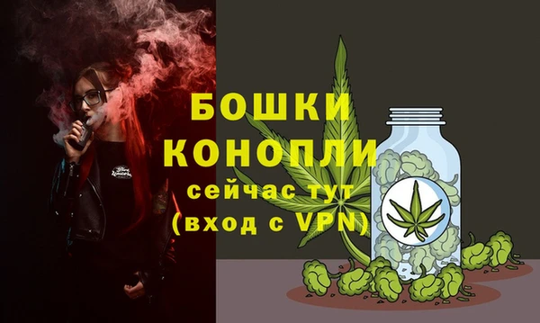 твердый Балахна