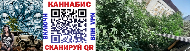 МЕГА онион  закладки  Борзя  Каннабис сатива 